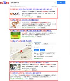 信陽網站推廣公司的優勢與鄭州口碑服務商推薦